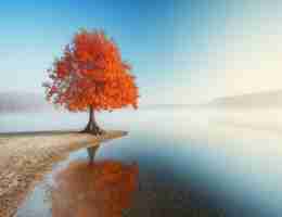 自‌动​技﻿术‌前‌沿﻿教​程﻿